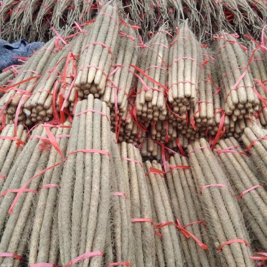 大名县白玉山药 70~90cm