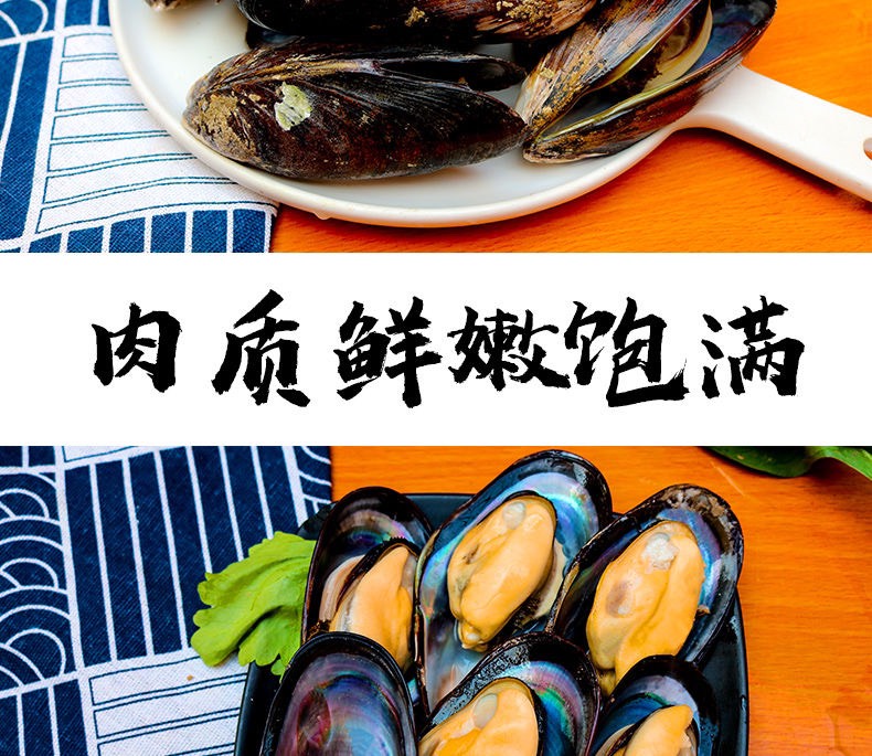 翡翠贻贝  鲜活海虹青口贝贻贝淡菜新鲜直达紫口贝类海鲜批发