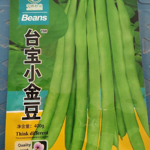 平远县台宝小金豆 改良四季豆种子