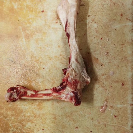 河间市羊骨 大羊棒骨含肉多