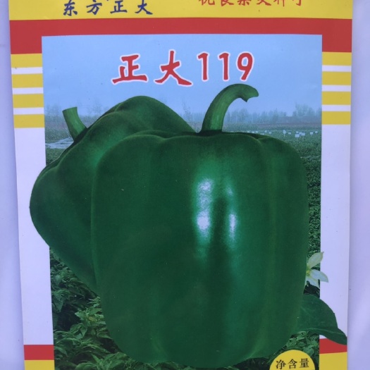 平远县甜椒种子  东方正大119甜椒灯笼椒种子较早熟 耐高温 厚肉