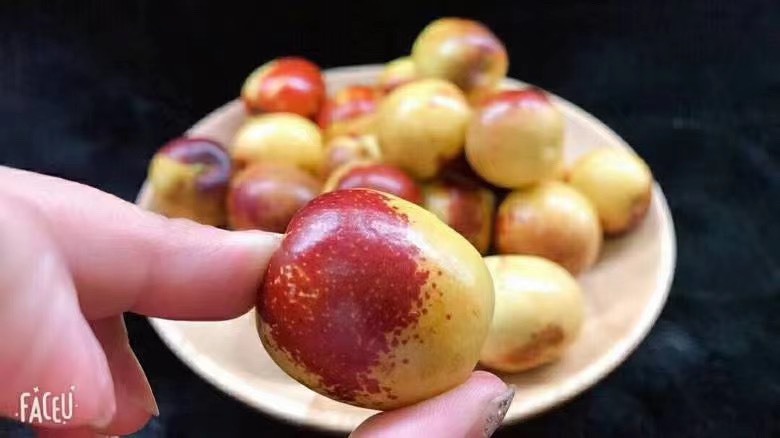  沾化冬枣