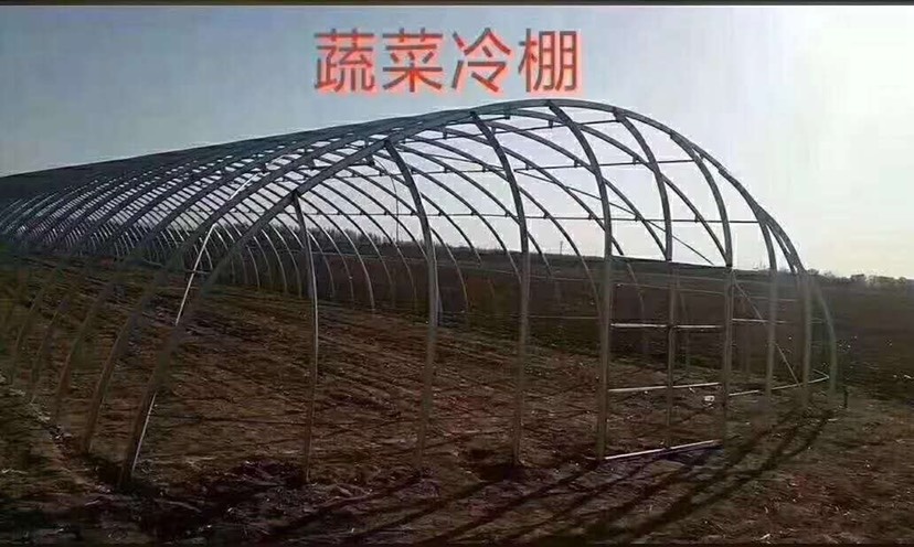 天津种植大棚 