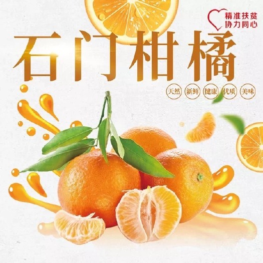 石门县石门蜜橘  家庭农场 石门柑橘