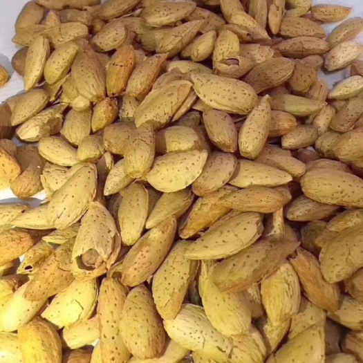 义乌市纸皮巴达木杏仁干果巴旦木坚果零食新疆巴旦木