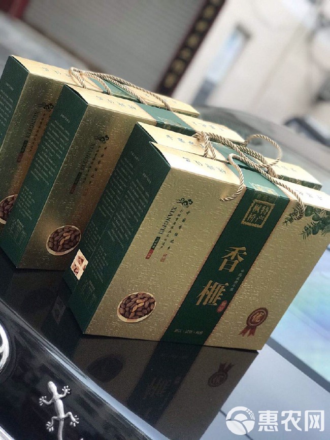 香榧 6-12个月 