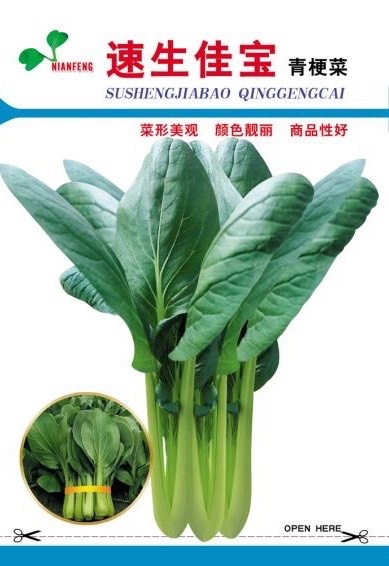 高密市速生佳宝青梗菜种子可以扎捆的青梗菜