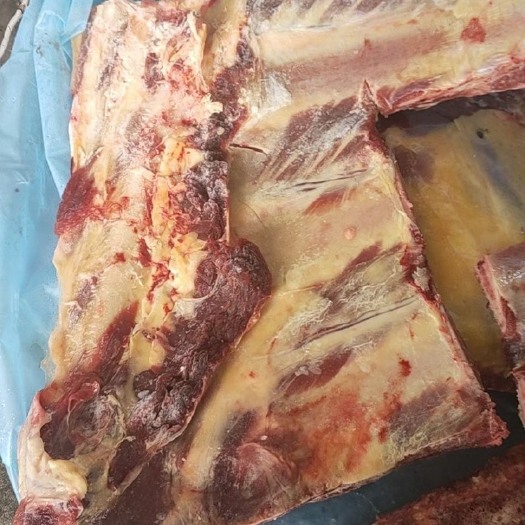 河间市 多肉牛胸骨