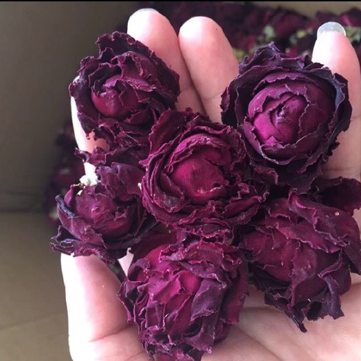 玫瑰花 法国墨红玫瑰花茶 干花茶
