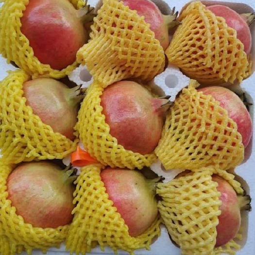 郑州突尼斯软籽石榴  软籽石榴