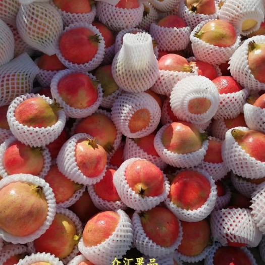 宾川县突尼斯软籽石榴