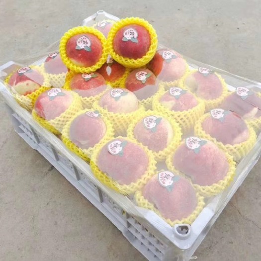 海阳市 金秋红蜜桃子