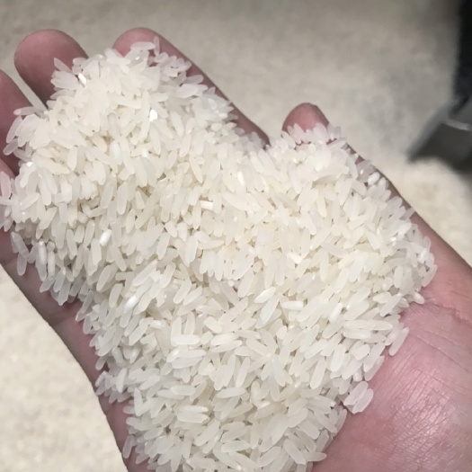 东莞市油粘米、餐厅、木桶饭、酒店、煲仔饭专用米（不包邮费