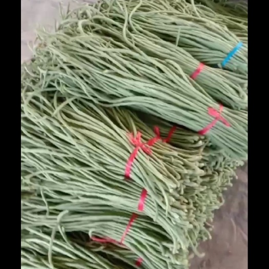莘縣黑圓茄 各種蔬菜