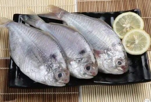 惠东县肉鯧鱼 肉鲳-4条一斤