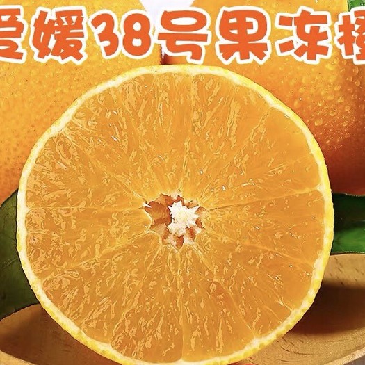 眉山爱媛橙  四川爱媛38号果冻橙 可以直接喝的橙子 脆甜多汁