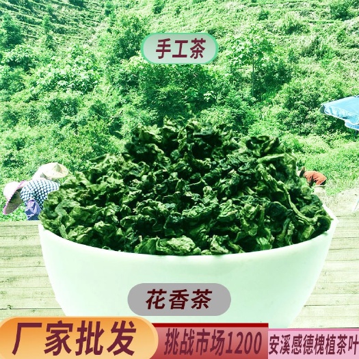 安溪县2023年秋茶正味浓香特级金奖铁观音安溪感德镇槐植茶叶批发