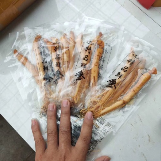 通化县［保鲜参］长白山人参吉林东北人参煲汤泡酒