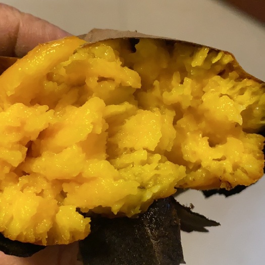 龙薯九号  农家自产自销红薯