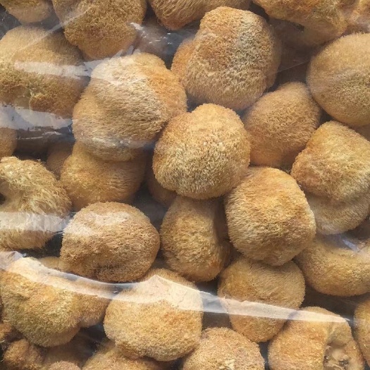 干猴头菇