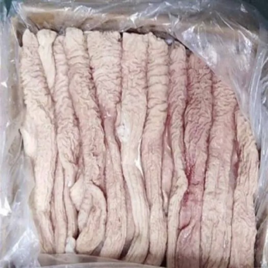桂林猪肠  新鲜大肠头，新鲜大肠可代加工，
