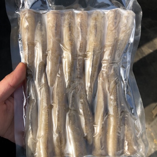 烟台 沙光鱼原料，整条，板冻