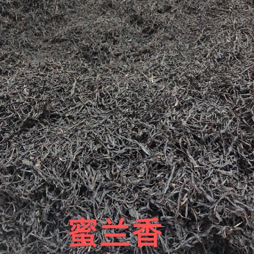 汕头岭头单丛  正宗潮州市 凤凰镇 高山蜜兰香 中熟型 一斤装大份量口粮茶