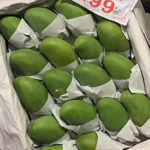 河口县 越南玉芒