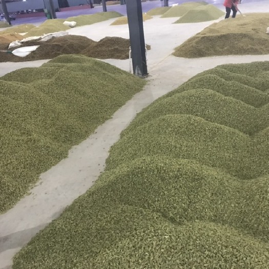 鄯善县新疆绿葡萄干 吐鲁番市当地个人精选货源 价格中道