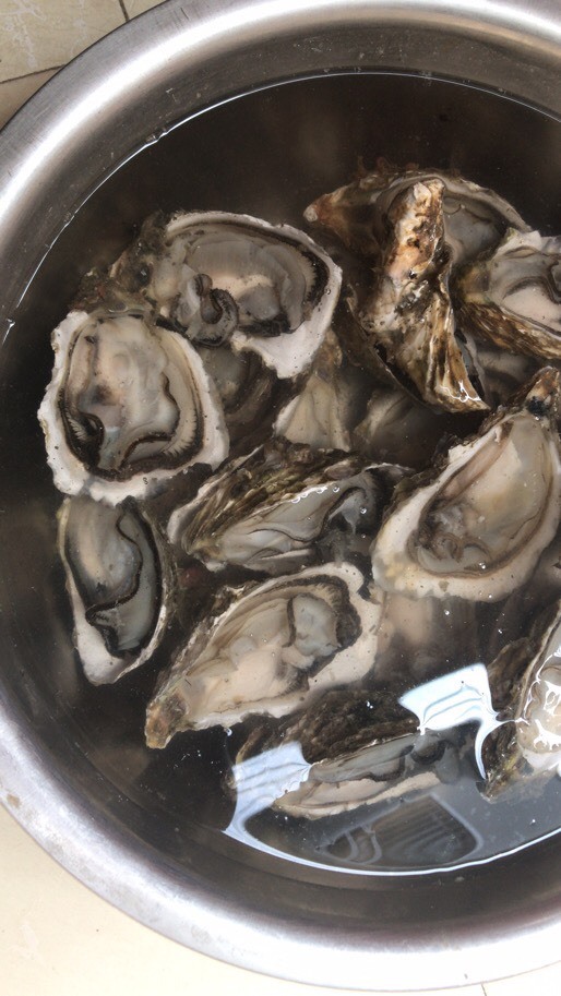 饶平县汫州生蚝全壳半壳中蚝1斤6-8个烧烤海鲜水产牡蛎