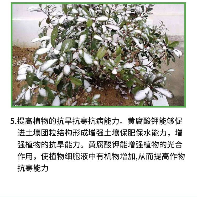雅翠凯普乐，矿源黄腐酸钾母粉，全水溶叶面肥冲施肥，调理土壤，