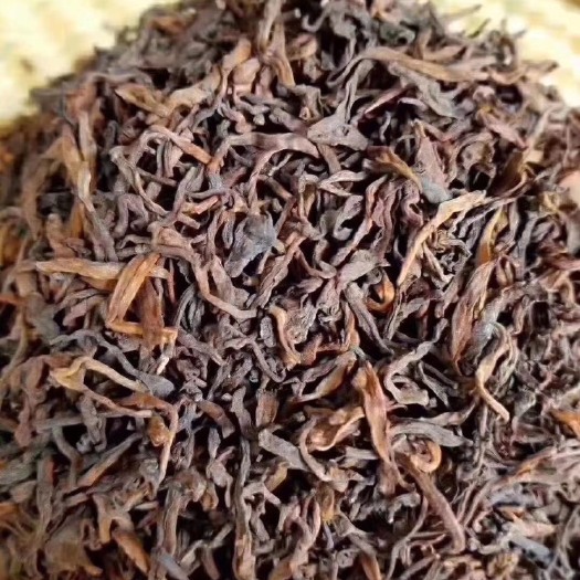 安溪县 古树普洱茶