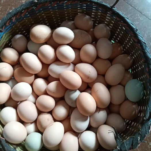 黄石土鸡蛋  蛋黄红，个头小，新鲜，干净，营养，美味