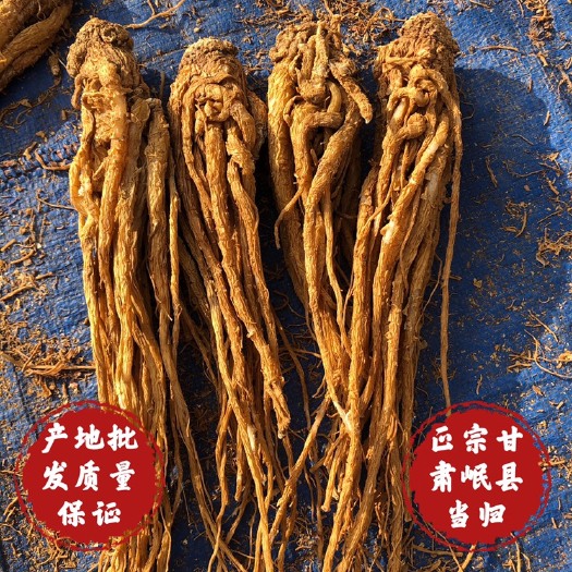 岷县岷当归  当归 水洗黄当归。产地批发。量大从优。水洗无硫当归