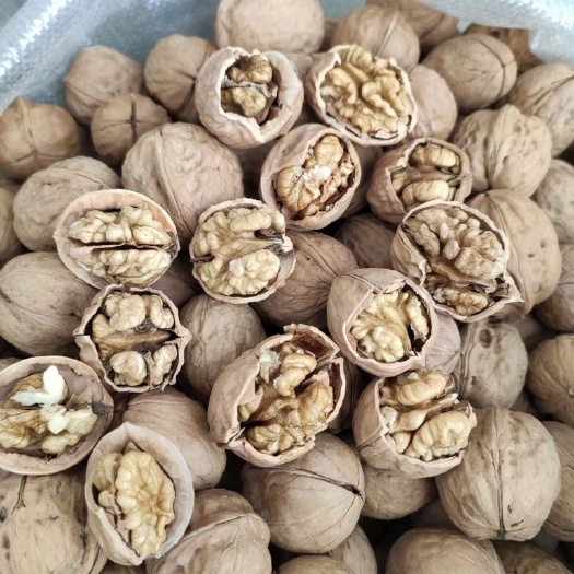 成都 新疆核桃 2020新货薄皮 核桃 原味薄皮散装新疆产地手剥源