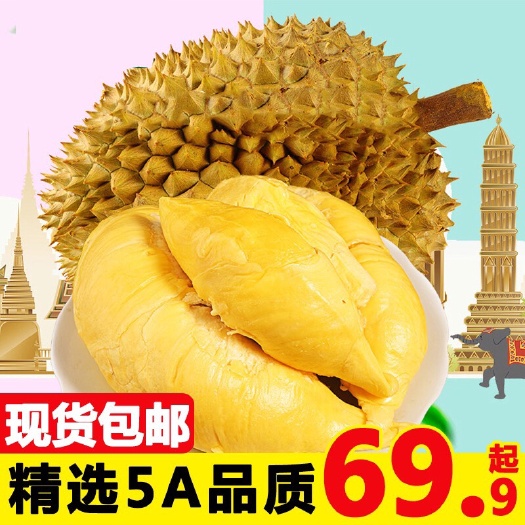 凭祥市金枕榴莲  现货新鲜金枕头榴莲水果一级金枕巴掌榴莲肉多核小坏包赔包邮
