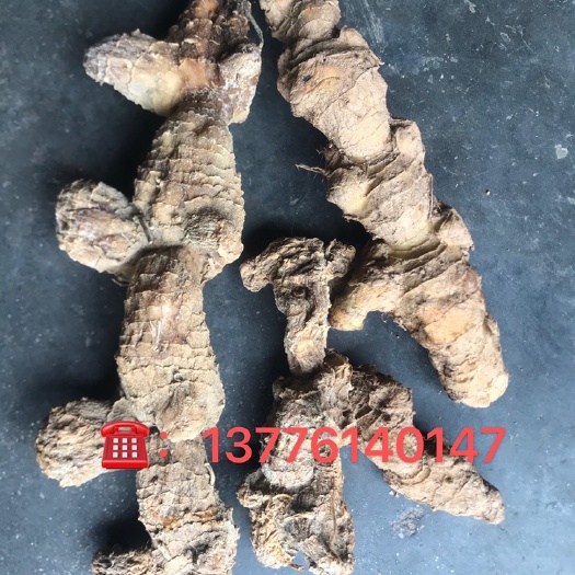 开化县姜形黄精  黄精