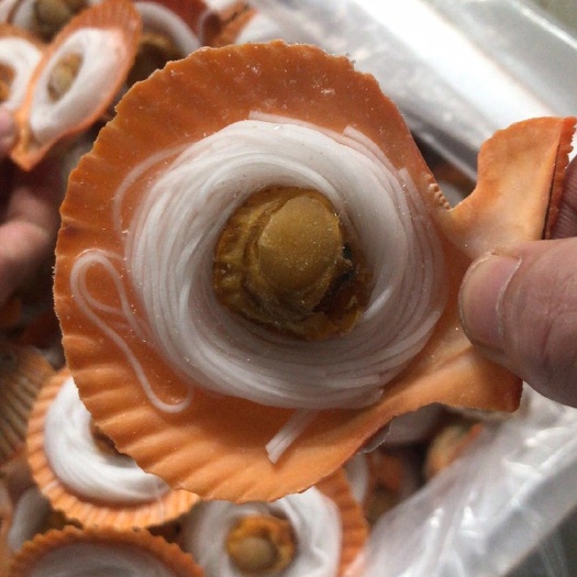 广州扇贝边 批发蒜蓉粉丝扇贝 粉丝黄金贝 冻扇贝200粒/箱