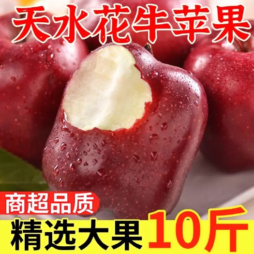 秦安县花牛苹果  甘肃天水花牛果园直发 一件代发 零售 批发