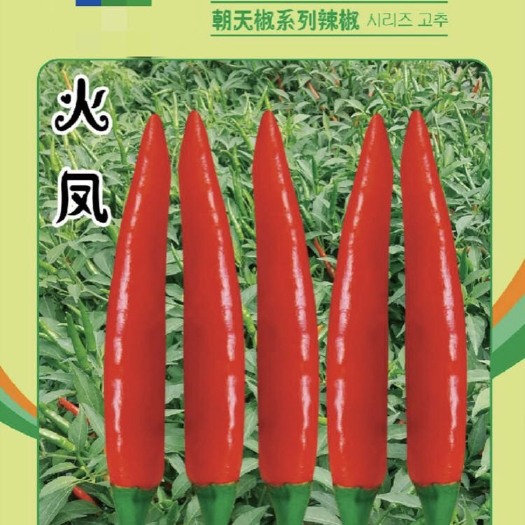 金乡县朝天椒高辣艳椒系列火凤天宇816圣椒高辣高产高抗病