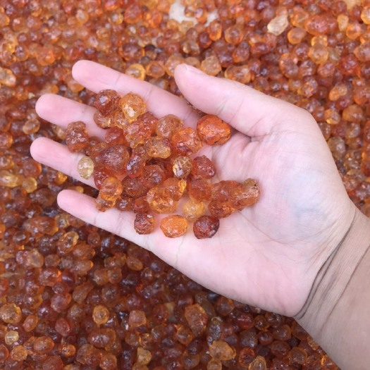 随州天然桃胶  中修颗粒，大颗粒小颗粒桃胶桃花泪桃油桃树胶水洗颗