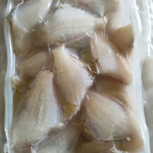 东山县马面鱼  三去小剥皮鱼