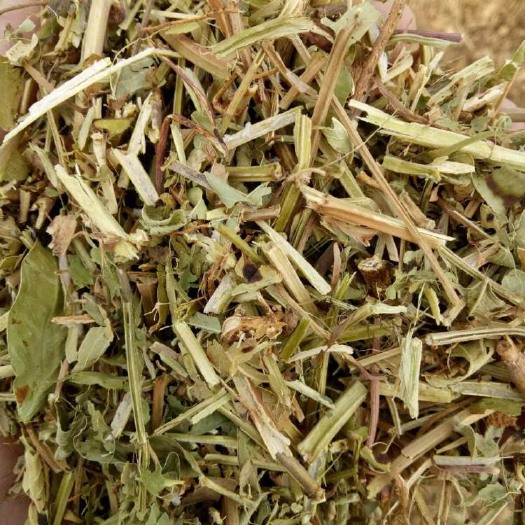 驻马店花生秧 诚信为本