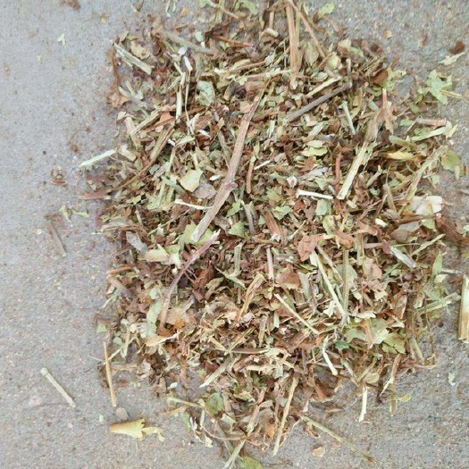 正阳县花生秧