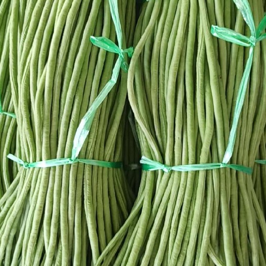 白条豆角 长豆角