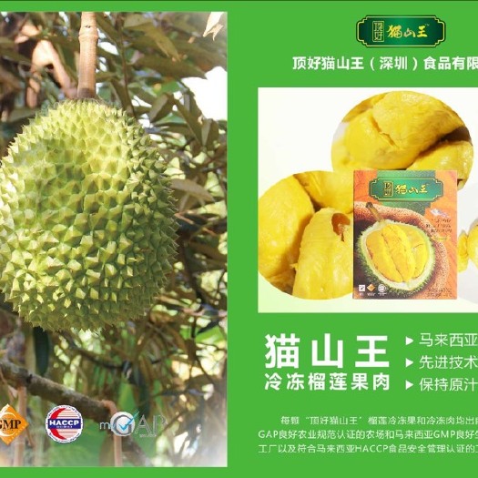 深圳猫山王榴莲D197  马来西亚榴莲-猫 山王（D197）及苏丹王，气味、口感细腻香