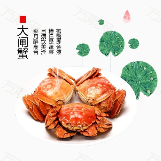 南京大闸蟹苗 高淳清水大闸蟹