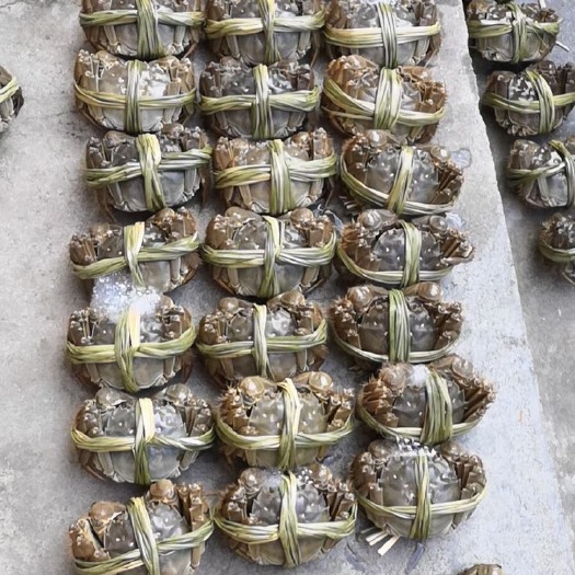 南京无为大闸蟹 高淳 清水大闸蟹