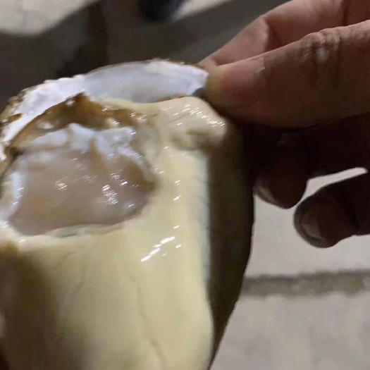 乳山市精品乳山生蚝，养殖加工一体化，长年有货，货源充足，全国接单！