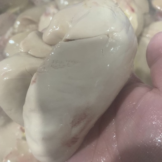 佛山鹅肝  鹅白肝。